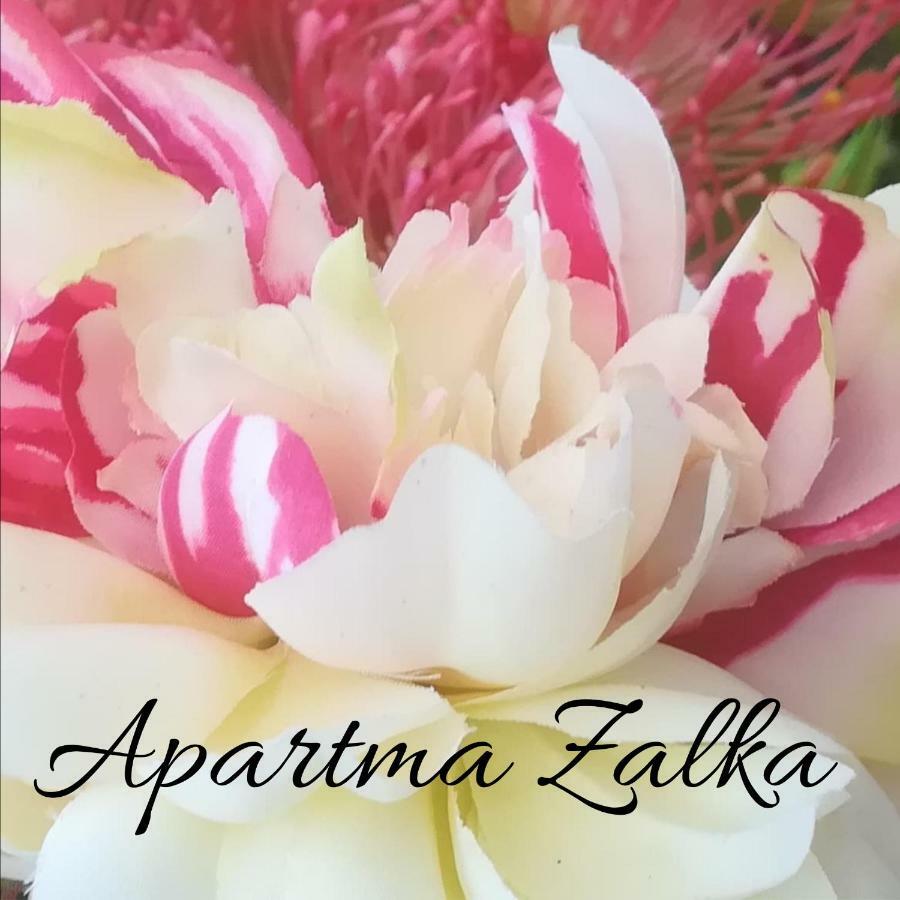 Apartma Zalka อิซอลา ภายนอก รูปภาพ